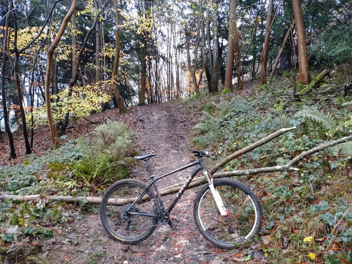 AndrewSalisbur2's tweet photo. Day off #mountainbiking @SurreyHillsAONB #boxhill #norburypark and back into #Dirking on the #leithhillgreenway via @denbiesvineyard https://t.co/xUCMdvBier