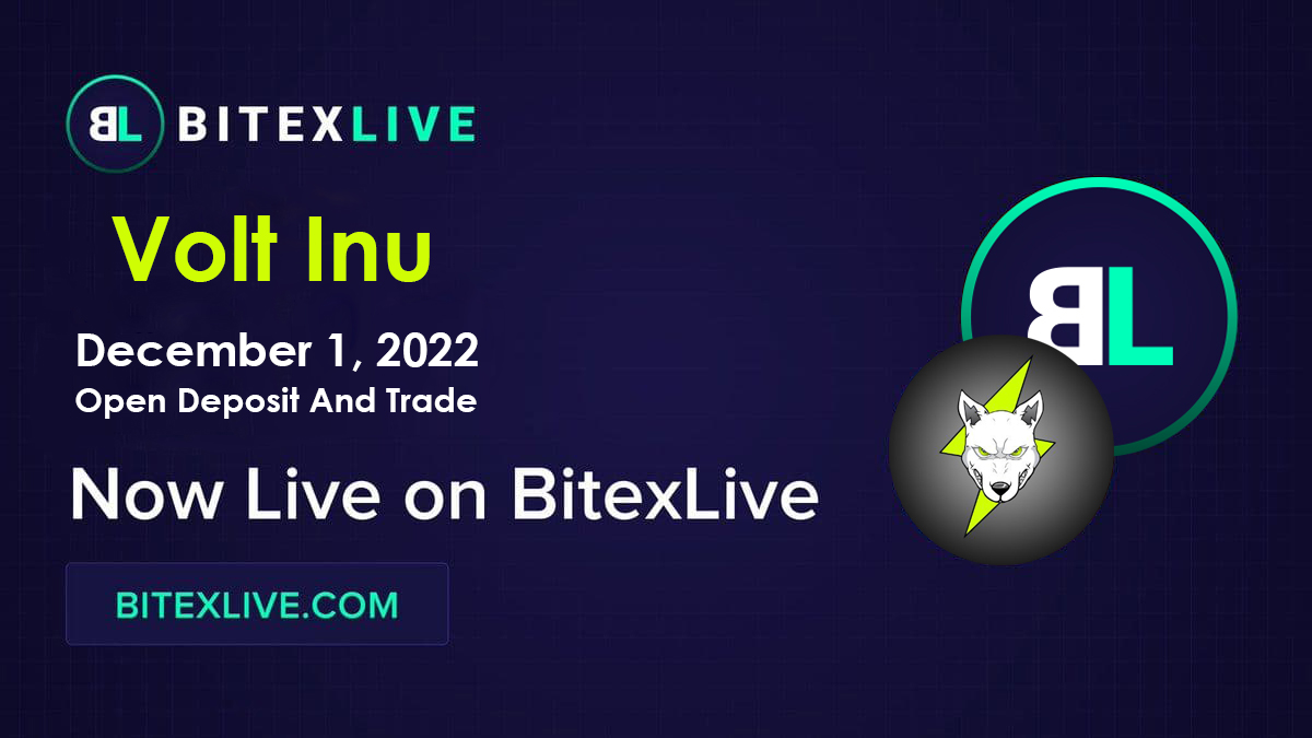 Bitexlive tweet media