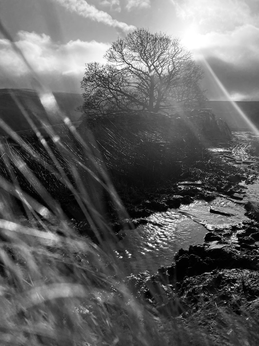 lgm_55's tweet photo. Got back out today loved every minute yes much slower than normal but soaked up this bloody gorgeous views felt bloody good 💙💜 5 miles through the mud #piginshit 🤣 https://t.co/sZCVhoEOFM