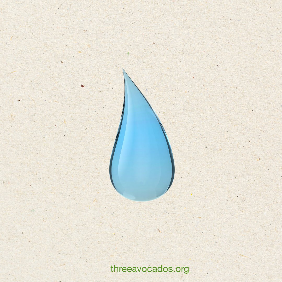 nonprofitcoffee's tweet image. Water is hope.  Access to #cleanwater means more time for education.  More education means people can earn a better living and give back to their local economy.  A thriving economy opens up more opportunities for everyone.