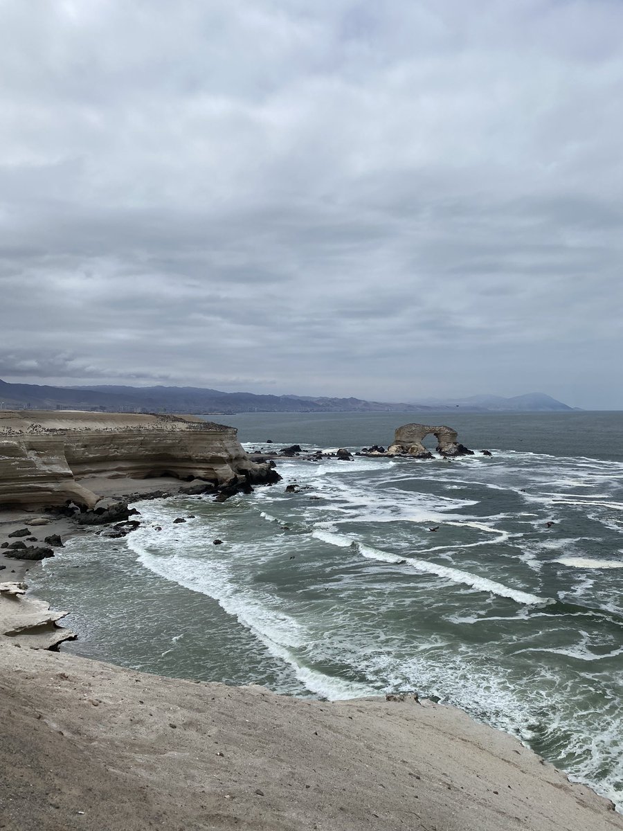 Starting the first day of work at the XV CEBIB Workshop.  On this occasion from the north of Chile in Antofagasta #workshopCeBiB