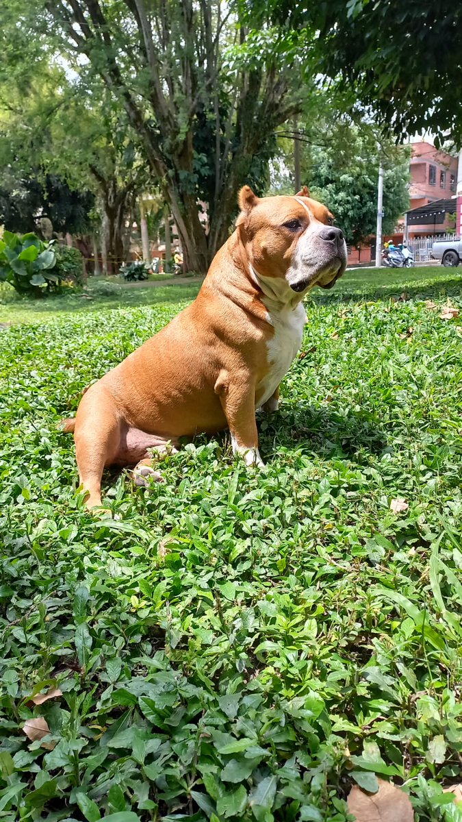 Se vienen días difíciles para mí parcerito por la quema de pólvora sin control en Medellín, ojalá y no te afectes mucho 😔😔😔😔