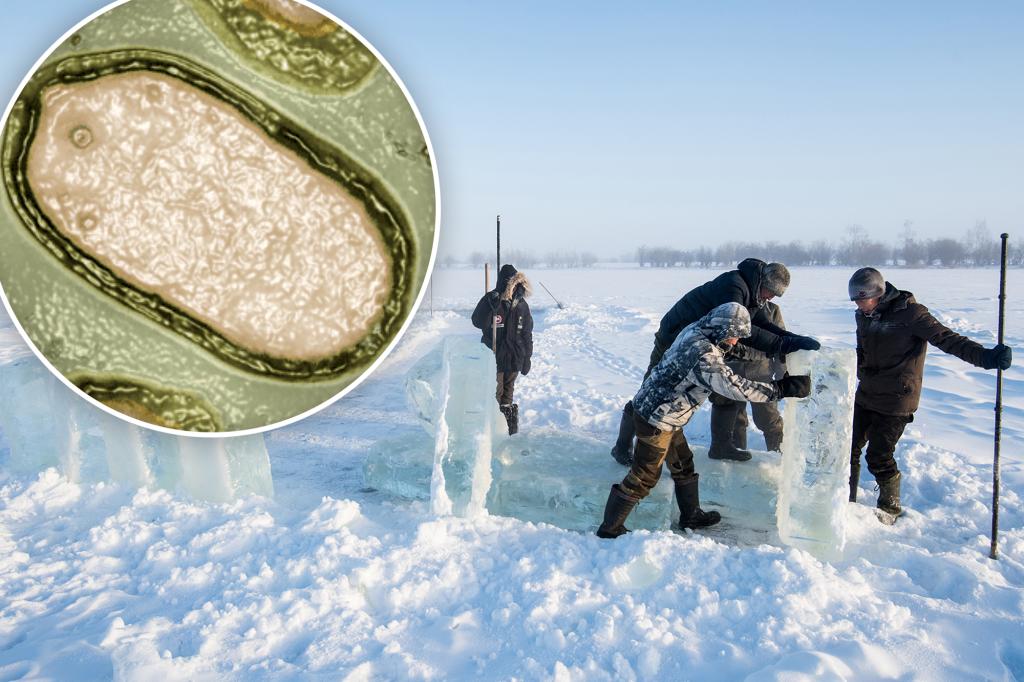 nypost's tweet image. Scientists warn long-frozen 'zombie virus' is 'public health threat' amid thaw trib.al/SSHZncw