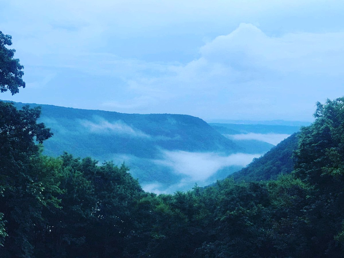 ForestFestival tweet media