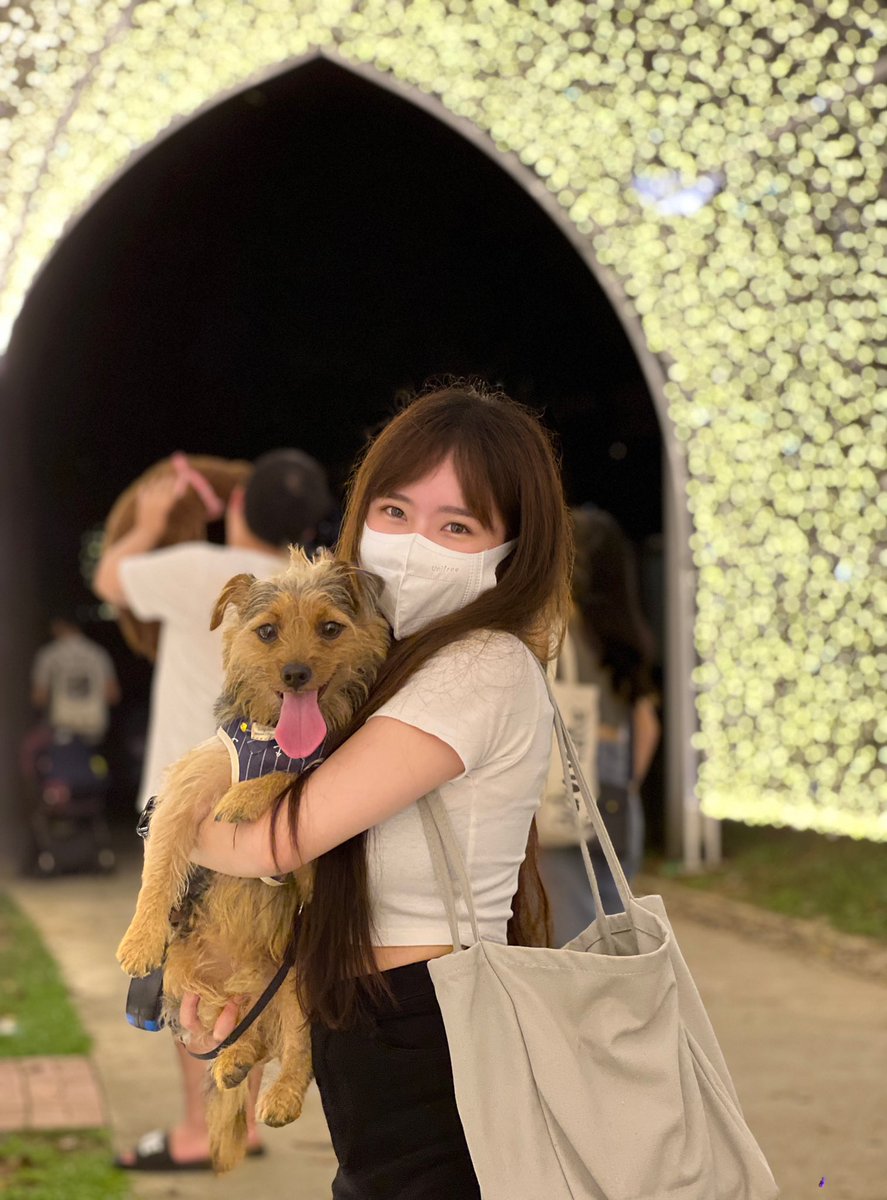 HarryCheoh's tweet photo. Holiday, brought furkids out for a walk with my girl. #mondaynoblue https://t.co/t9uNPJ03yi
