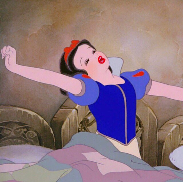 Me waking up on the first Monday without Bachelor since July 

#BachelorInParadise