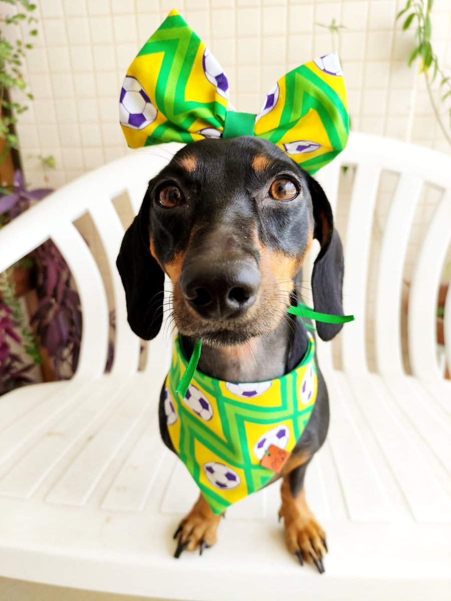 KarinaRR13's tweet photo. Torcida pronta!
Palpite 3x1 pro Brasil! 
Quero ganhar um bolão 😂😂😂 https://t.co/G1HW6e3VQh