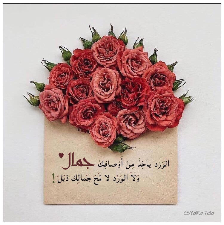 YaRa7ela's tweet photo. الورد ياخذ من أوصافك جمال ولا الورد لا لمح جمالك ذبل !! https://t.co/U0C1mmpQZU