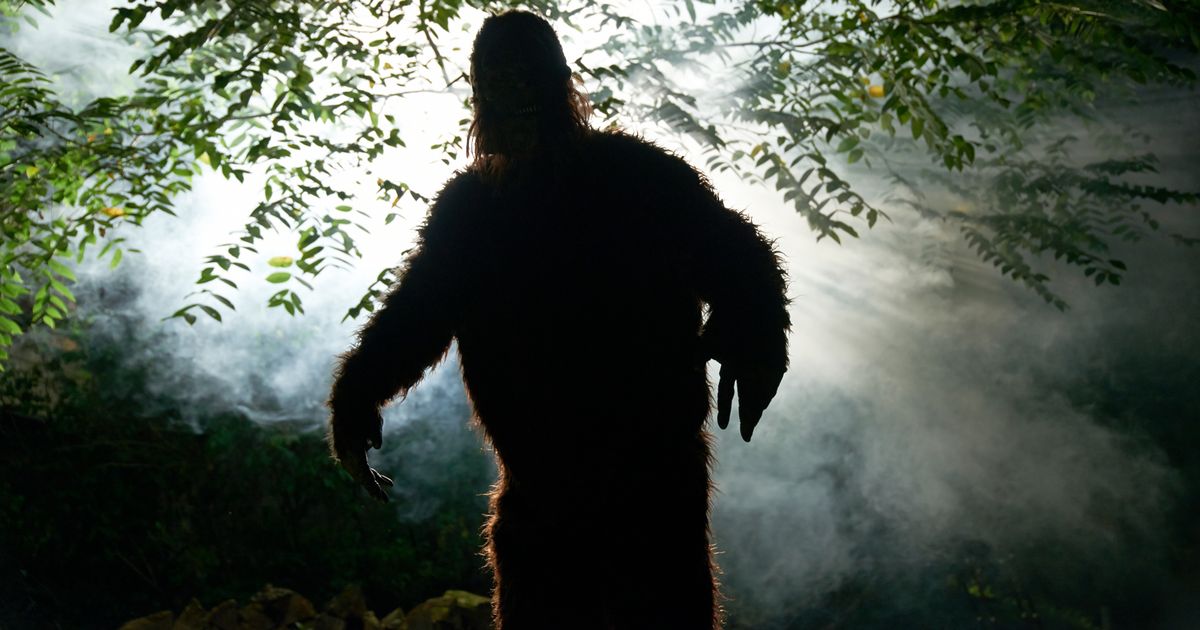 Enigmatidotca's tweet photo. 'Bigfoot killed in car crash being covered up by police', conspiracy theorist claims - Daily Star https://t.co/9GXqct4ijF https://t.co/q1WaYoWai9