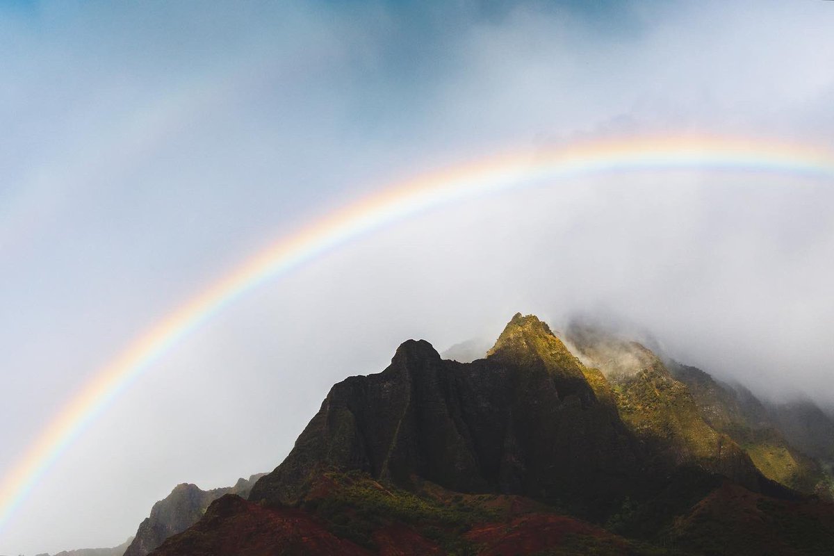 alexmack__'s tweet photo. GM GM beautiful people 🌈 https://t.co/DeFn6kpwrt