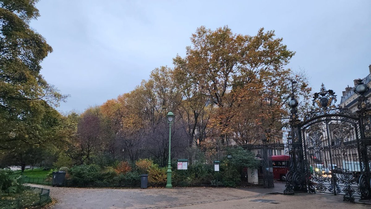 Gidi Grinstein (@gidigrinstein) on Twitter photo Went for a run this morning in beautiful Paris. 🇫🇷 Went for a run this morning in beautiful Paris. 🇫🇷