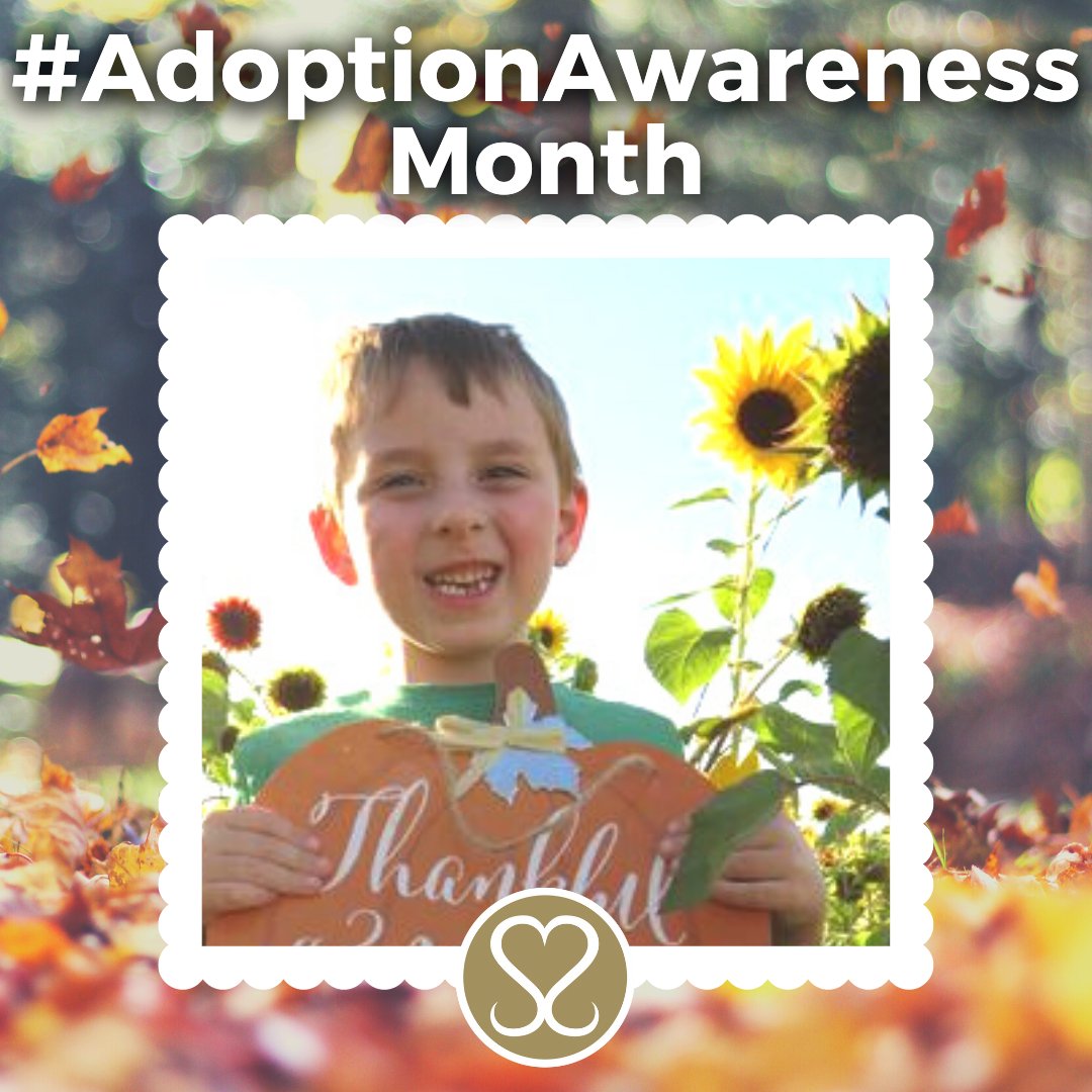 Sacred Selections tweet media