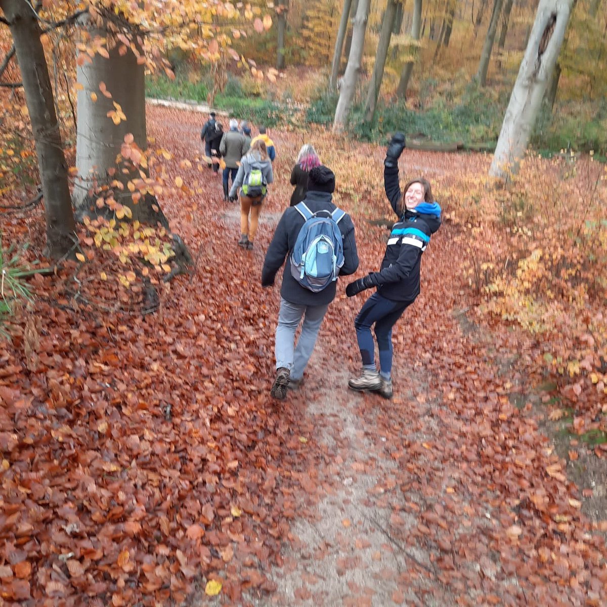 PvdDAchterhoek's tweet photo. Bomen, bomen, bomen !! Afgelopen weekend mooie PvdD-bomenwandeling op de Lochemse Berg olv IVN. Zo kostbaar onze natuur. @IVNNederland #PvdD #bomen #natuur @glk #klimaatcrisis #stikstofcrisis https://t.co/BlPwYTPZ6g