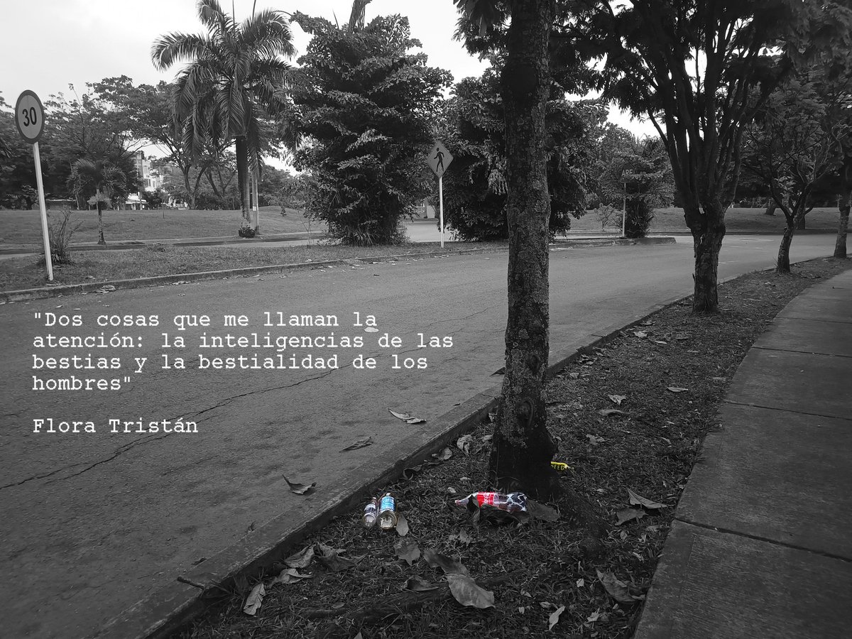 Hugo Cruz Villa tweet media