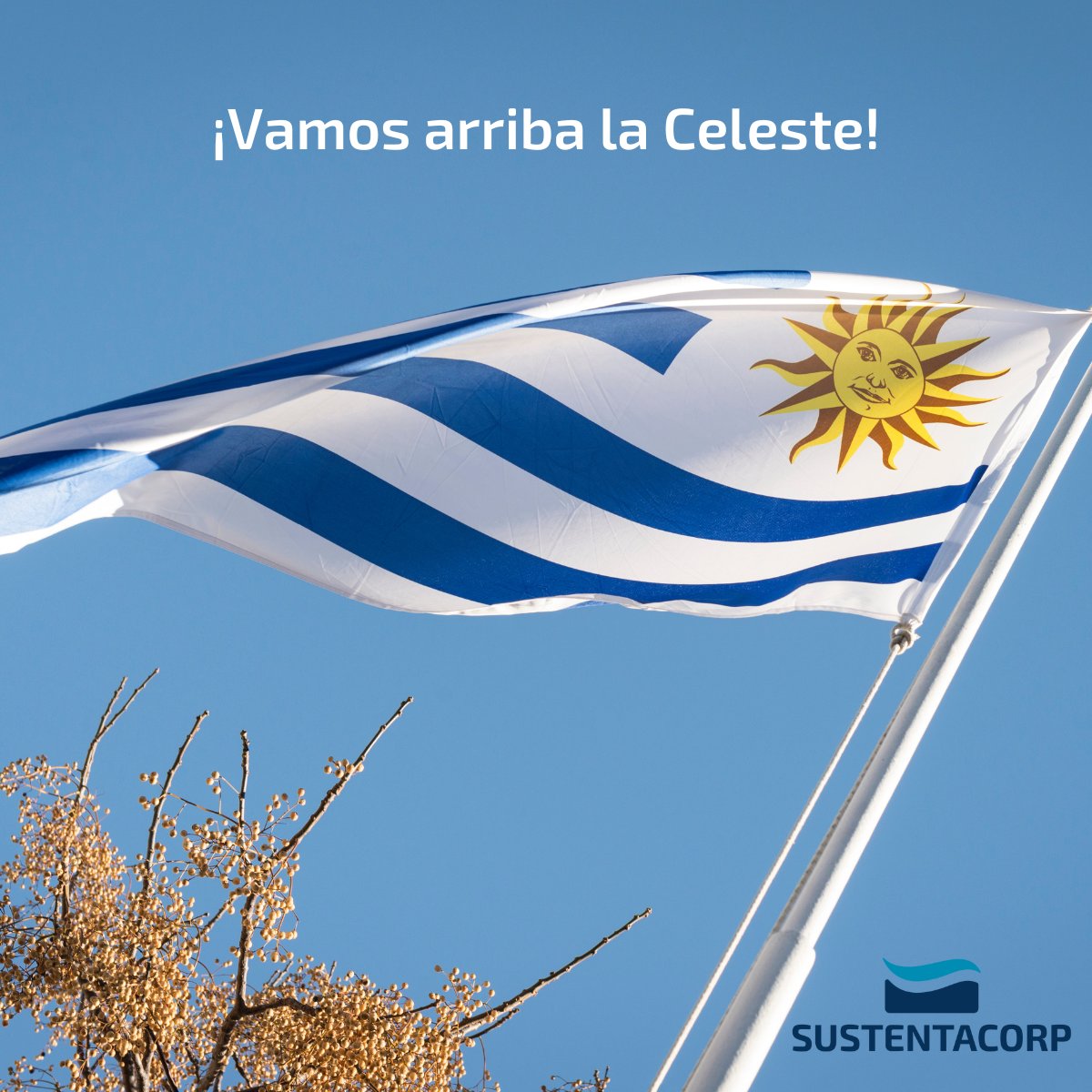 SustentaCorp's tweet photo. https://t.co/ht3cgqTHx2