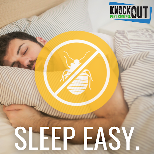knockoutpest1's tweet photo. We know how stressful a bed bug infestation can be. Contact the team at Knockout Pest Control if you find yourself dealing with these pests and we will get you and your family back to sleeping easy in no time!

https://t.co/I3uV7sME9x  

#KnockoutPestControl #pests #bedbugs https://t.co/S9Isqnnh37