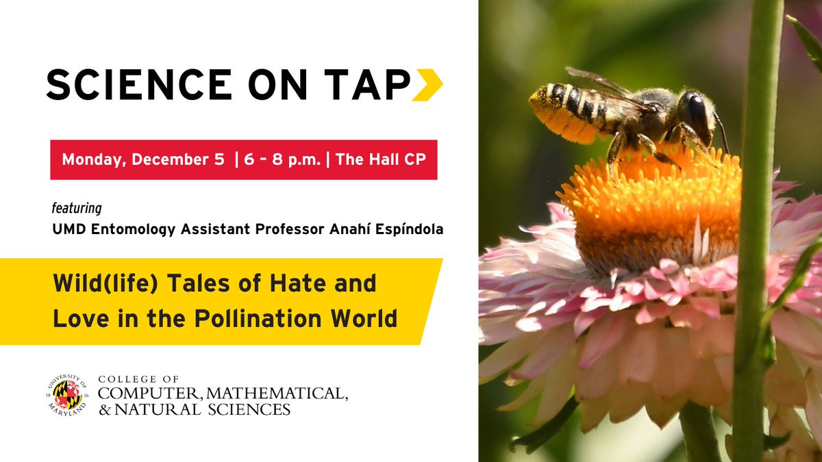 UMD Science (@umdscience) on Twitter photo Our last Science on Tap of the semester is a week away! Join us on Monday (12/5) to learn about the importance of plant-pollinator interactions from <a href="/UMDEntomology/">UMD Entomology</a>'s Anahí Espíndola (<a href="/Analyssi/">Anahí Espíndola 🇦🇷🇨🇭</a>).
RSVP 🔗 go.umd.edu/sot1222 Our last Science on Tap of the semester is a week away! Join us on Monday (12/5) to learn about the importance of plant-pollinator interactions from <a href="/UMDEntomology/">UMD Entomology</a>'s Anahí Espíndola (<a href="/Analyssi/">Anahí Espíndola 🇦🇷🇨🇭</a>).
RSVP 🔗 go.umd.edu/sot1222
