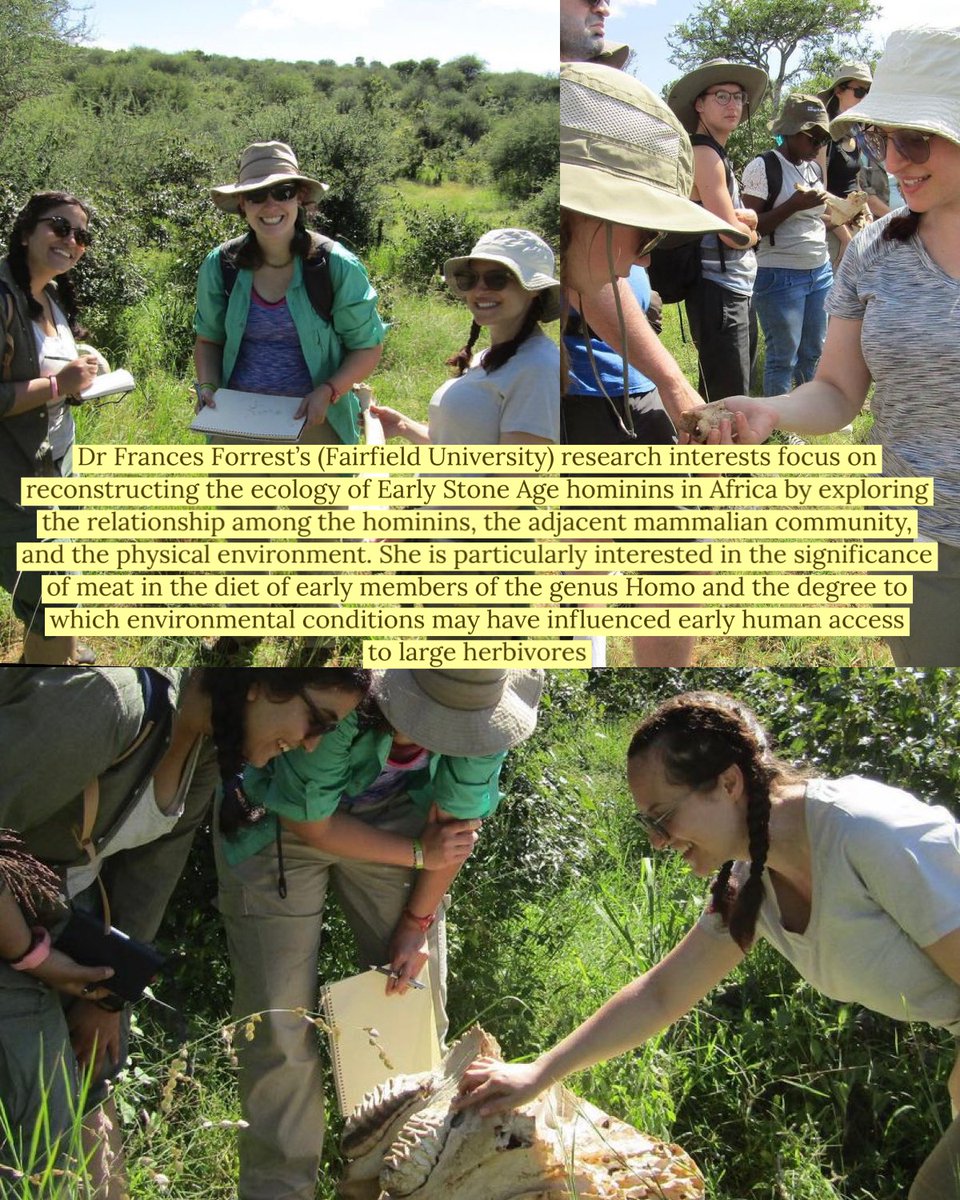 Koobi Fora Fldschl tweet media