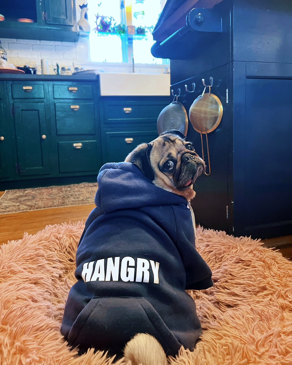 itsdougthepug's tweet photo. I’m sorry for what I did when I was Hangry https://t.co/SkQeWu4zli