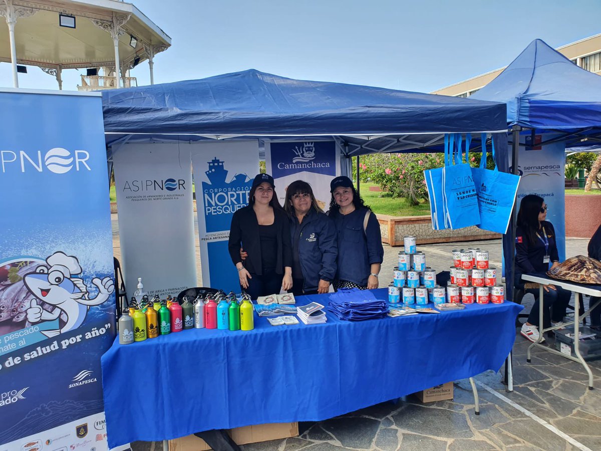 asipnor's tweet photo. En #Iquique @CorfoTarapaca inauguró la #SemanaDeLaPyme con una muestra gastronómica de productos del mar en plaza Prat. Junto a nuestros socios de Pesquera Camanchaca, entregamos tarros de júreles y recetarios con las mejores preparaciones de este producto. #Tarapacá #Pymes https://t.co/bethwl8IBA