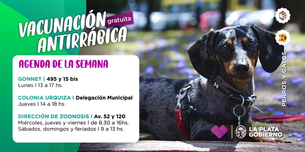 LaPlataMLP's tweet photo. Chequea en su libreta y acercate con tu perro o gato a darle la vacuna antirrábica correspondiente https://t.co/J2XLH8JYyW