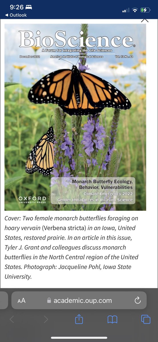 Kelsey_E_Fisher's tweet photo. Cover image turned out BEAUTIFUL! 

https://t.co/nKjRXRWQLa https://t.co/sWkhMCTgVz