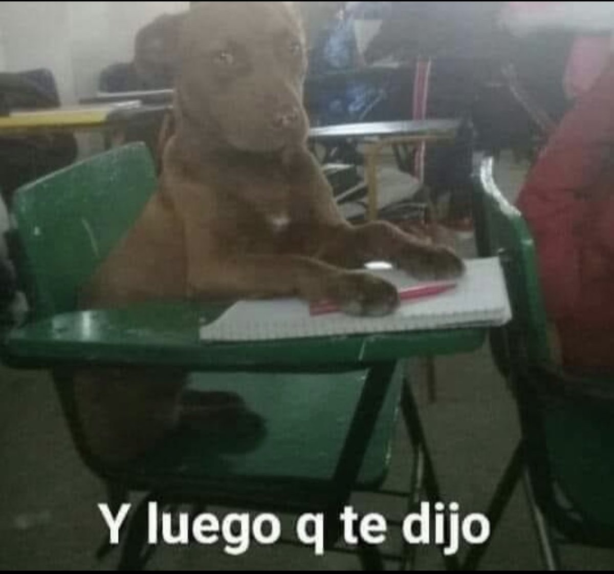 *El profe hable y hable*

Yo escuchando a mi compa como va con su ligue: