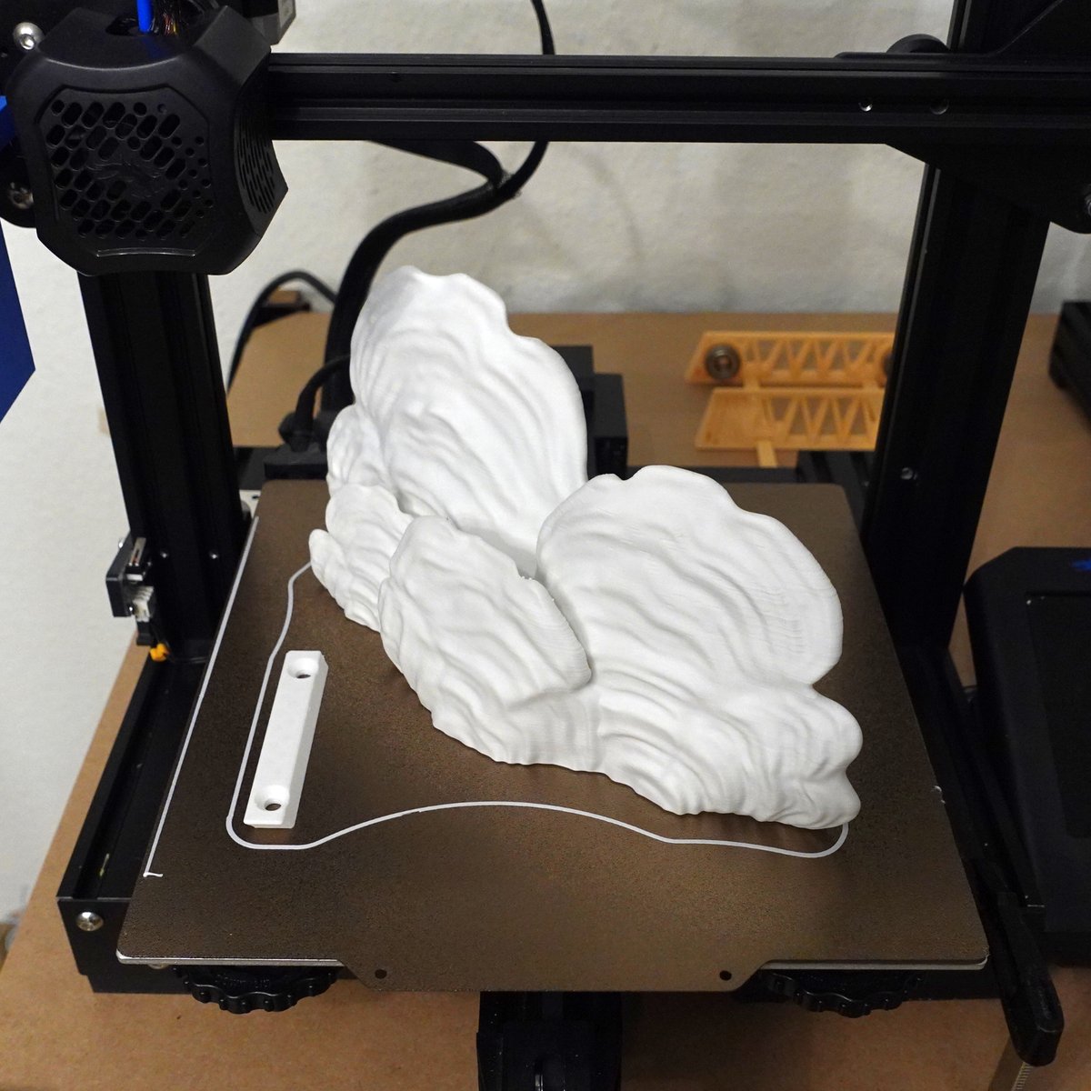 Gazzaladra tweet media