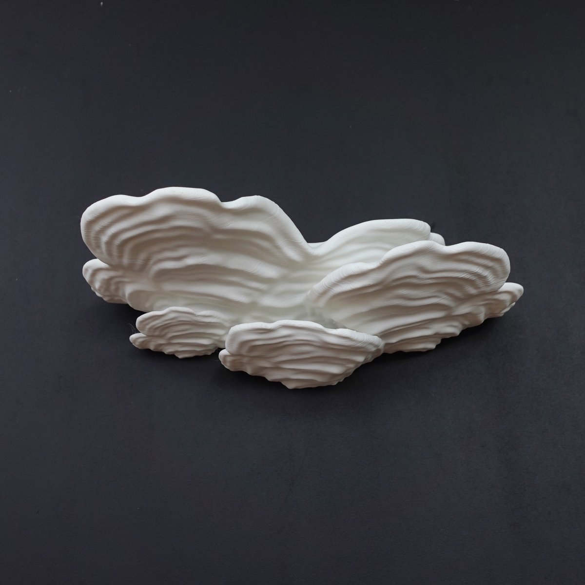 The inspiration for this one is the false turkey tail :) I also included better scaling options!
stls are on <a href="/Cults3D/">Cults.</a> 
cults3d.com/en/3d-model/ho…
