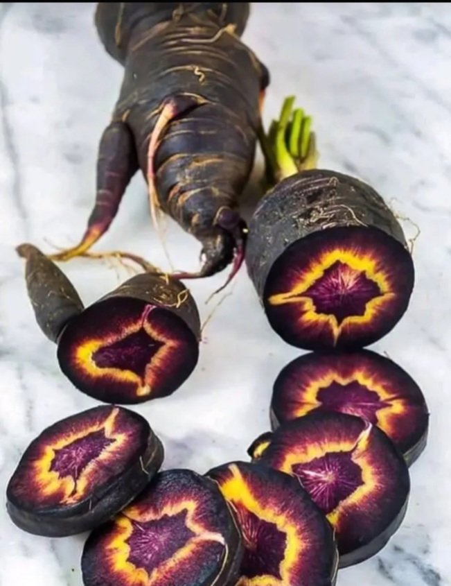 ROOT CAUSES-Not many people know that carrots aren't really orange-their native cognate is in fact black. The carrot you're currently holding in your hand was genetically modified in the 1880s.The wild black carrot in England is native to Rutland & Suffolk where they grow rampant