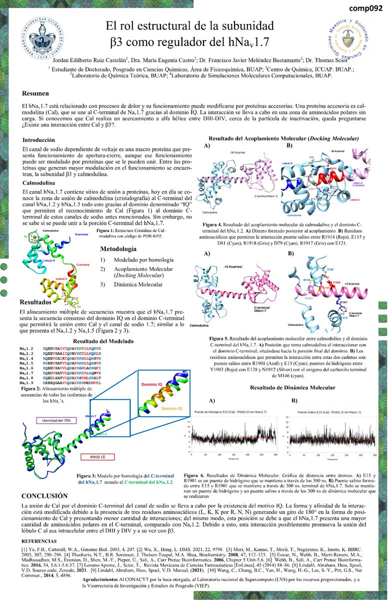 JordanRuiz1120's tweet photo. Hi @LatinXChem, this is my work ‘El rol estructural de la subunidad β3 como regulador de hNav1.7’, #LatinXChem22 #LXChemComp #Comp092 #MolecularDynamics #MolecularModeling #ProteinProteinInterface #MolecularDocking https://t.co/zCgD8eEM50
