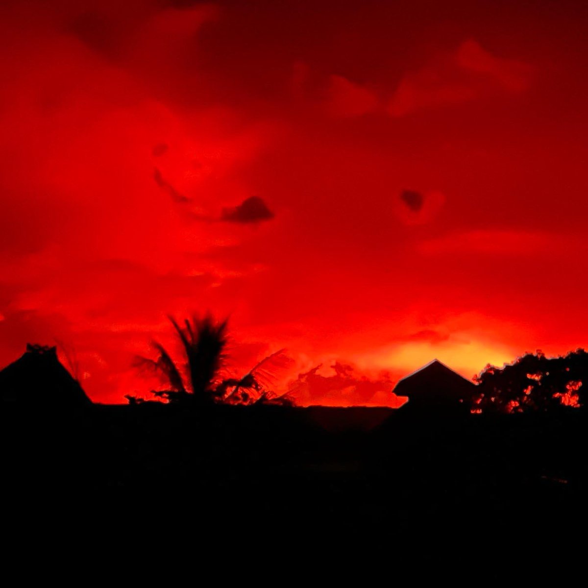 Alison Teal tweet media