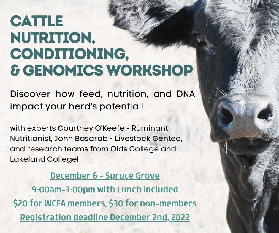 farmingforward's tweet photo. What are you up to on December 6? Join us for a lunch and learn style workshop in Spruce Grove! Sign up today and register before the deadline: https://t.co/gou4KKKzgq https://t.co/nJg3Xfnqap
