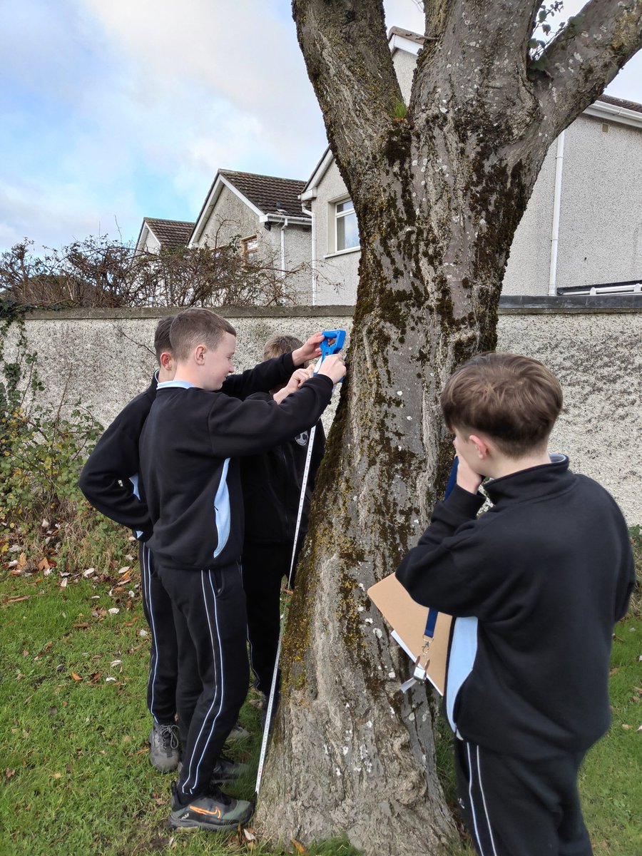 OideUna's tweet photo. A wonderful woodland workshop in our forest classroom for some of our 3rd year @Kingswoodcc16 science students today. A huge thank you to Maya from @GLOBEIreland. @TallaghtComCo @pulchra_eu @AnTaisce #leafworkshop #ClimateAction https://t.co/1BjaLnZ0wi