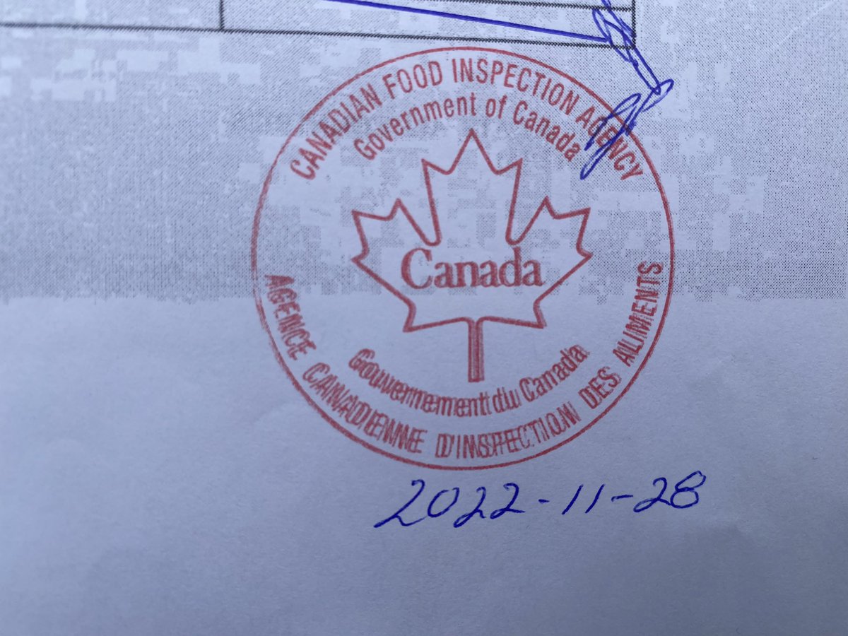 Matt Hamilton tweet media