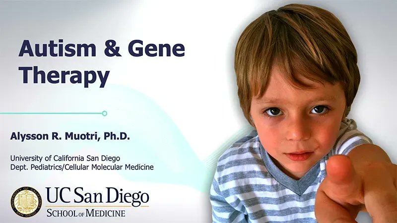 Learn about the autism spectrum and how gene therapy could be used to treat autism in the future with @UCSanDiego Alysson Muotri. NEW VIDEO: Autism Tree Global Neuroscience Conference 2022 buff.ly/3AF0KCM