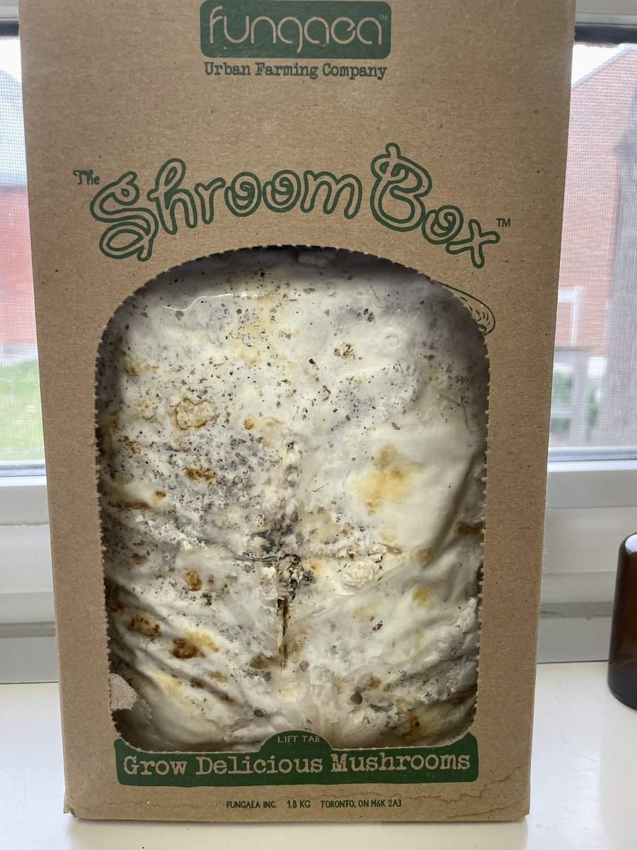 Lιѕα Mιтcнell (she/her/hers) tweet media