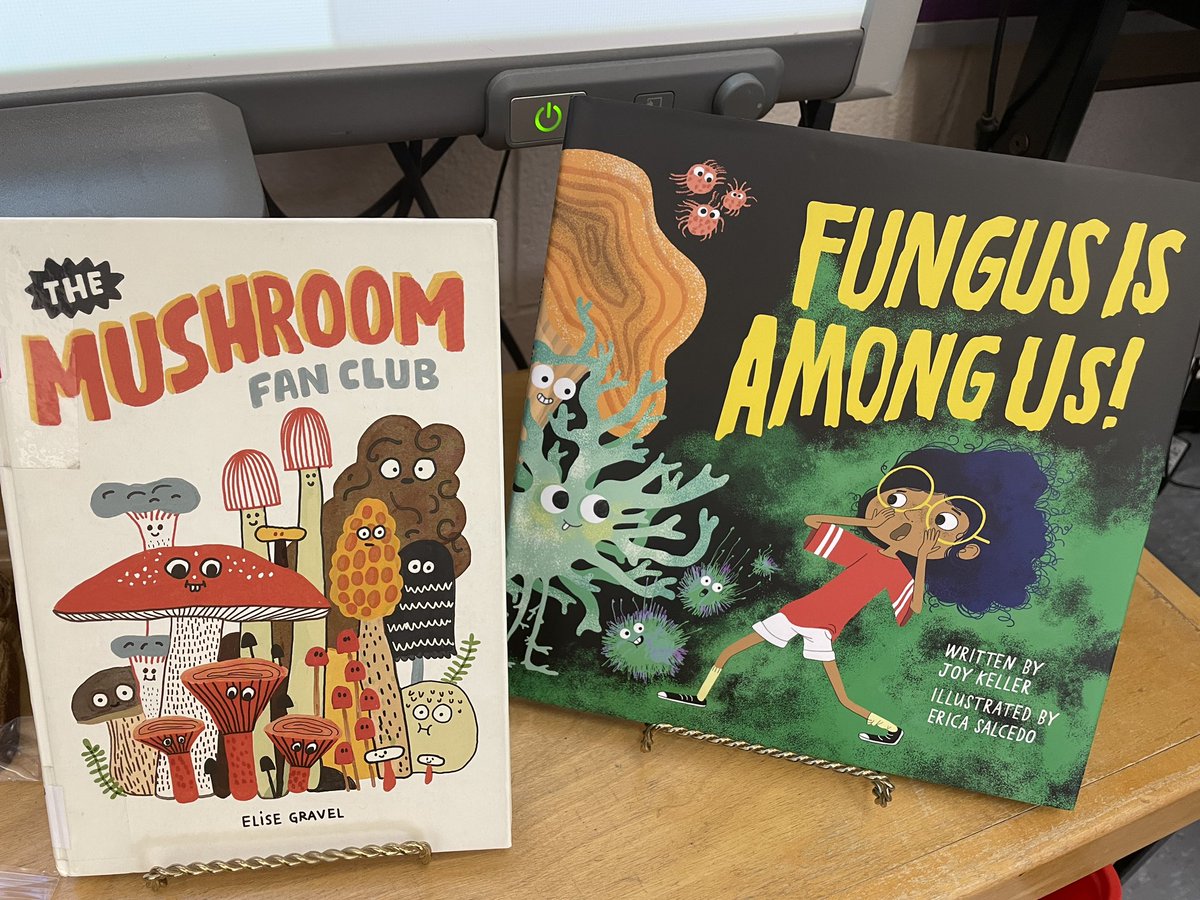 Lιѕα Mιтcнell (she/her/hers) tweet media