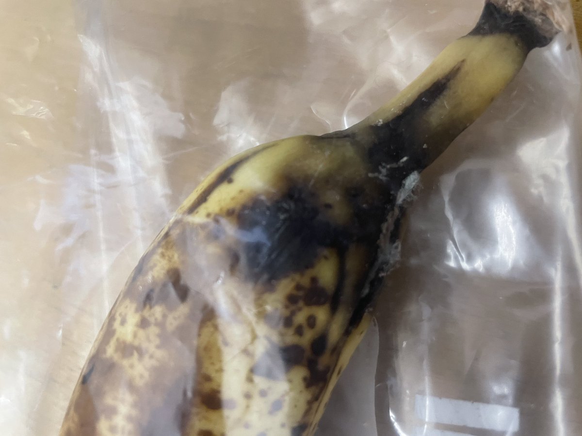 Lιѕα Mιтcнell (she/her/hers) tweet media