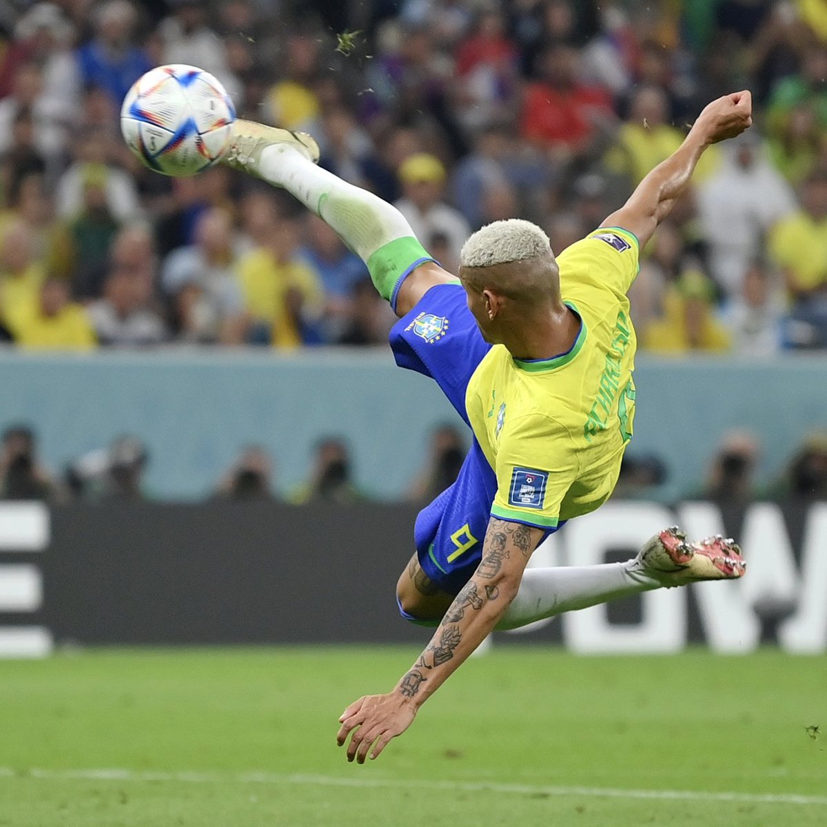 Bright Partnerships tweet media