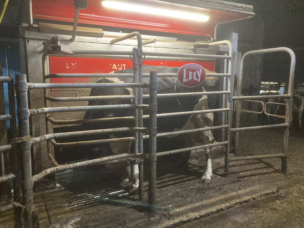 Charles Goadby tweet media