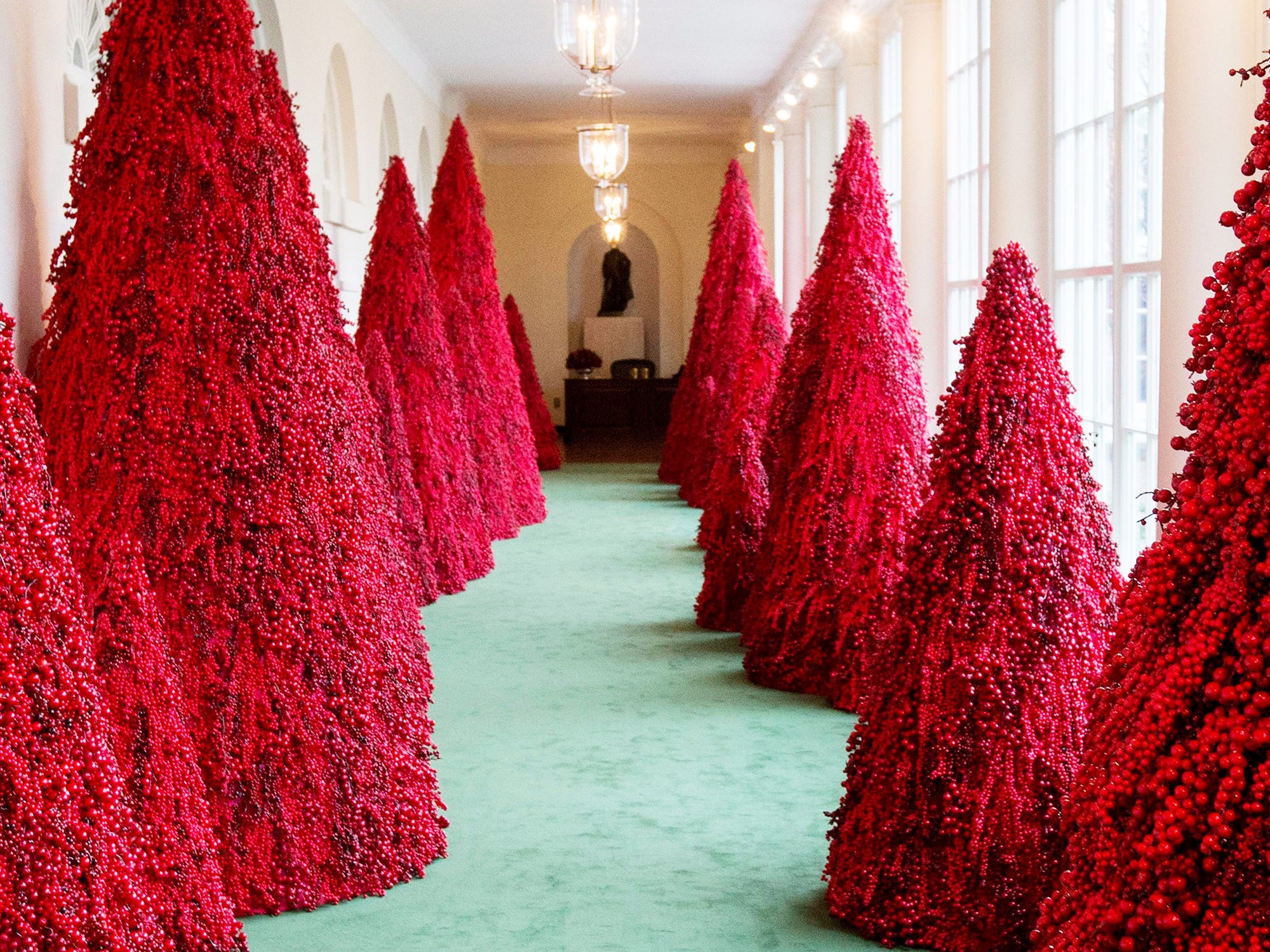 Tus nua! on Twitter: 