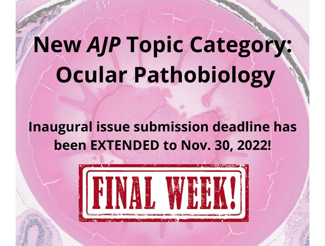 The deadline for our #OcularPathobiology #callforpapers is this Wednesday, November 30th.  Submit your #pathogenesis investigations for FREE here: editorialmanager.com/ajpa/default2.…