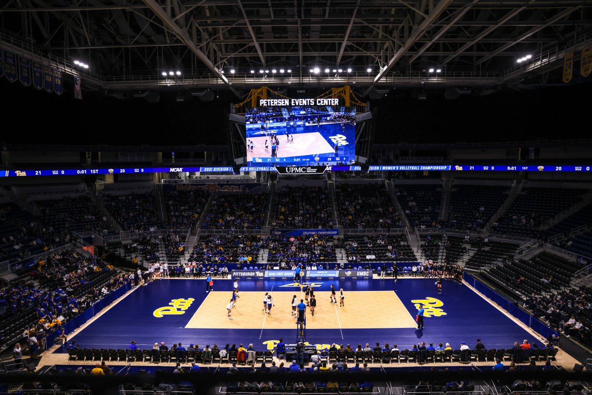 Pitt Volleyball tweet media