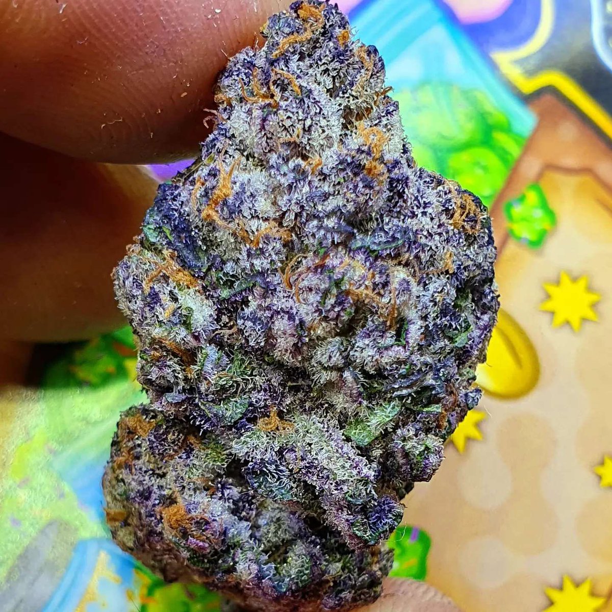 Trees that are slow to grow bear the best fruit.
🥭🍋🍍🍓🍇