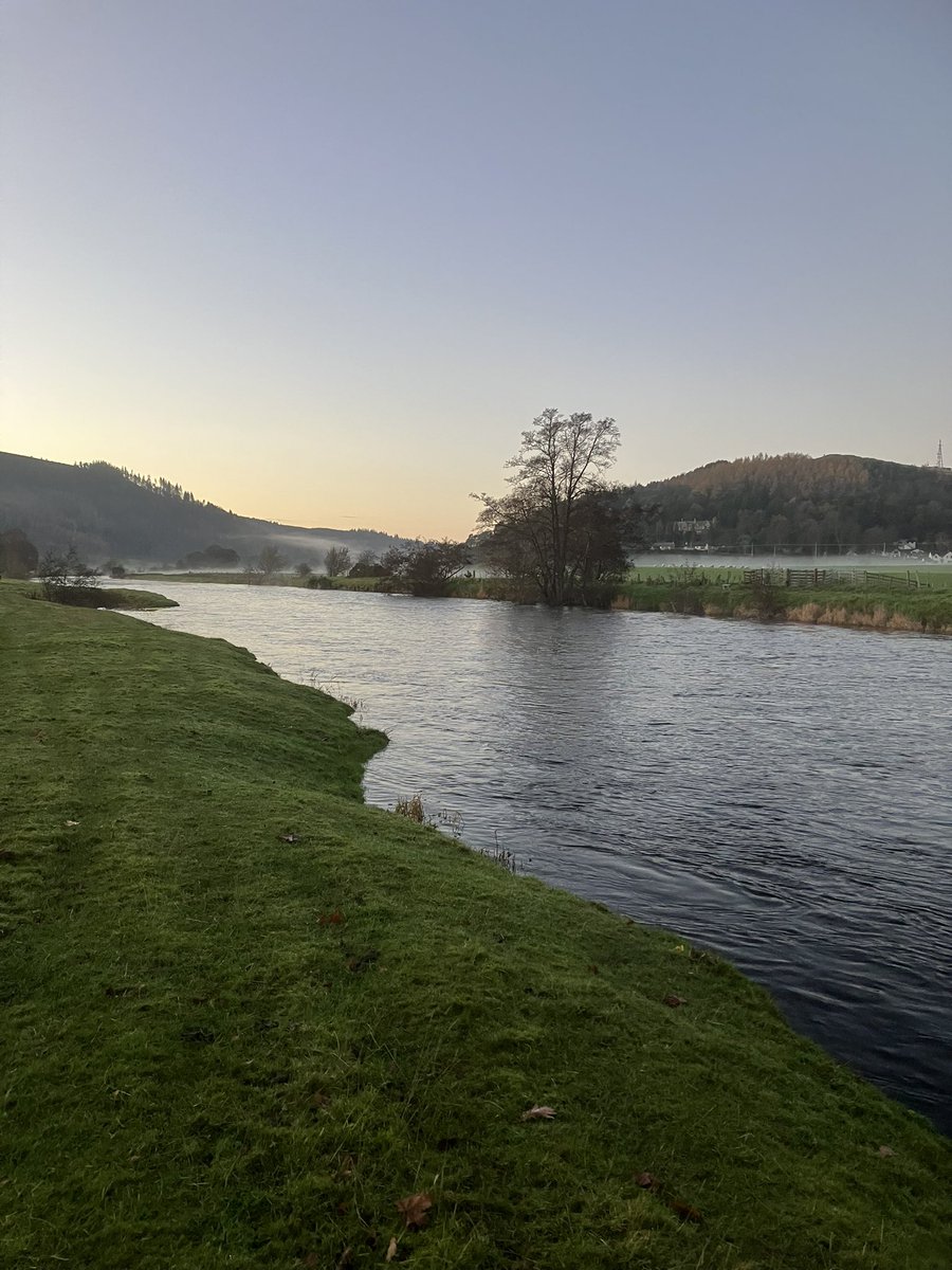 traquairhouse's tweet photo. From beautiful mornings to gorgeous afternoons on the Tweed at Traquair. November not all about the gloomy days #Novemberdays https://t.co/hYAUjaveMF