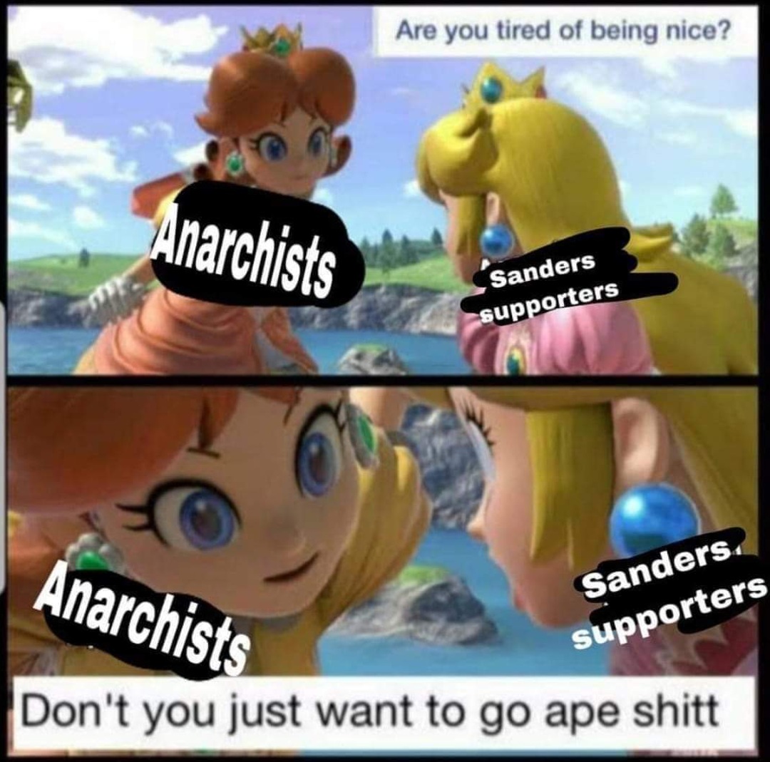 Radicalize Disappointed Sanders Supporters redd.it/z6mojh