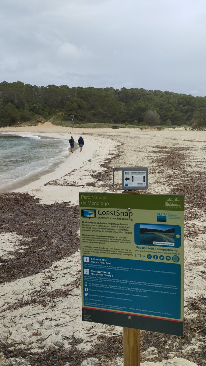 CoastSnapBal's tweet photo. I tot i el vent i la pluja, hem continuat fent mesures al #PNMondrago a l'estació #CoastSnapSamarador @socib_icts @FonsGoib @CentinelasCosta @cmat_ib https://t.co/ViQAZAXnOt