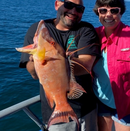 FlGuidesAssoc's tweet photo. FWC has a commission meeting this week Wednesday &amp; Thursday and your FGA board will be there representing you! Will you be joining? Thursday will be the main fishing discussions, here's the link to the agenda - 
https://t.co/9LCMOglClg
#FloridaGuidesAssociation https://t.co/52RNFpMPWI