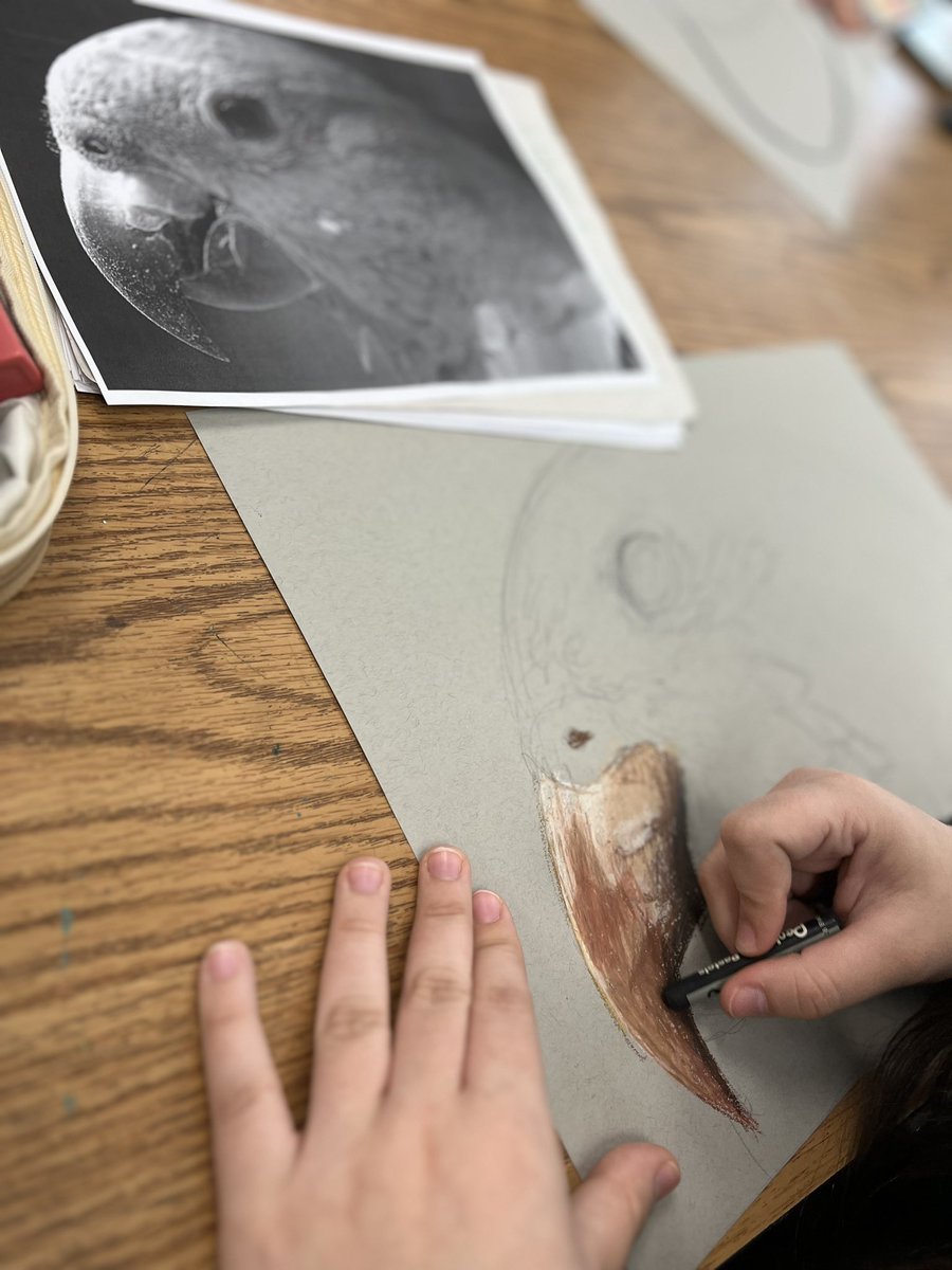 Oil Pastel Animals #oilpastel #realism